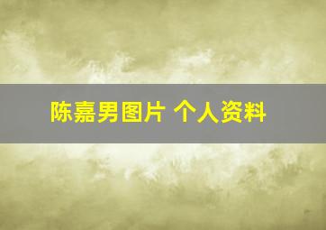 陈嘉男图片 个人资料